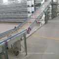 Chicken Cage Egg Chain Conveyor Collection System